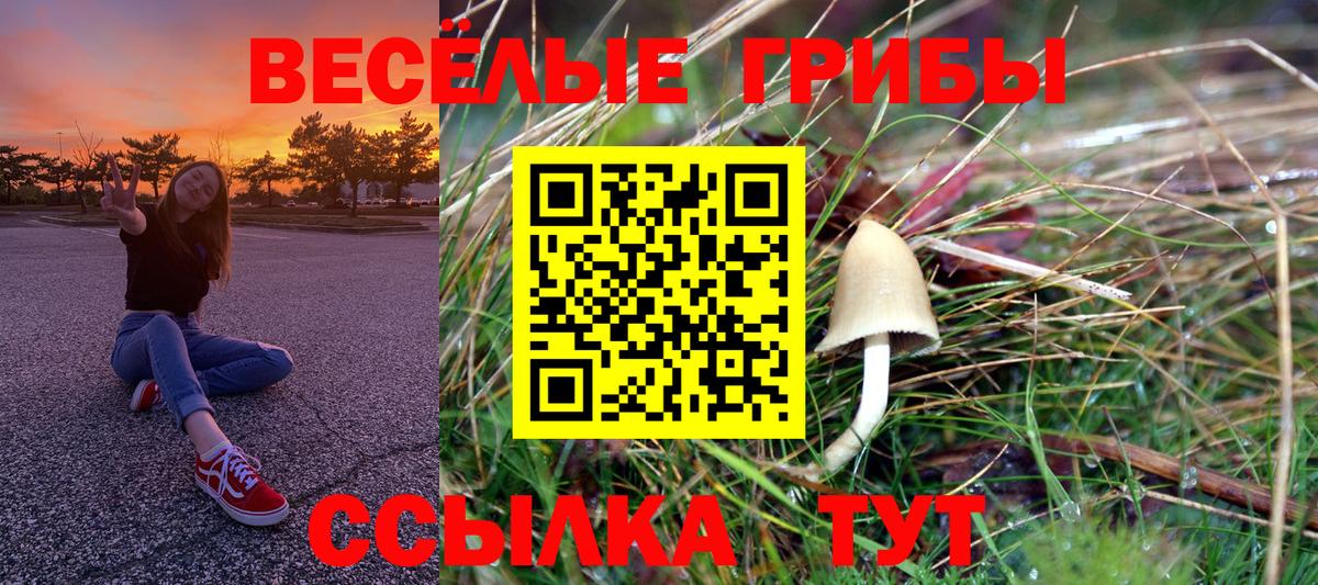 Галлюциногенные грибы MAGIC MUSHROOMS Касимов